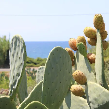 Aimone Villa Marina Porto