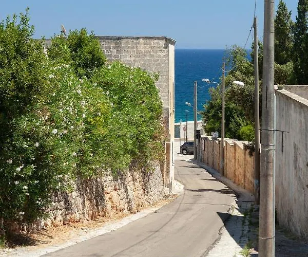 Aimone * Marina Porto