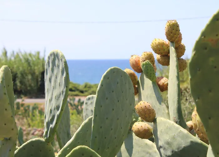 Aimone Villa Marina Porto